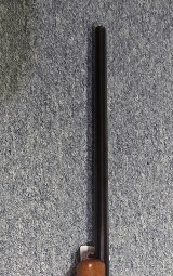 Ruger #1
22-250 Cal.