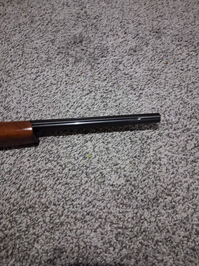 CZ USA Kansas City 17 HMR bolt action fluted barrel rifle - Image 4 of 12