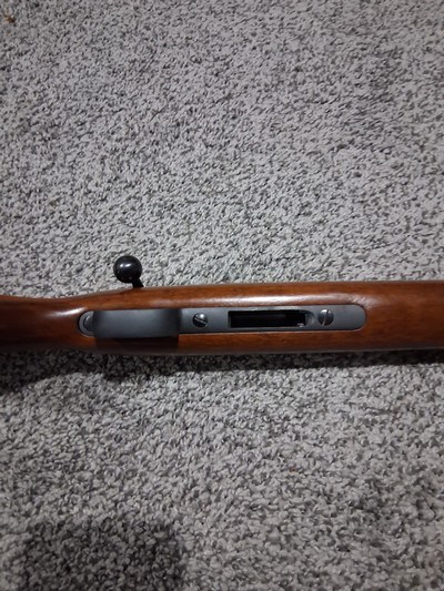 CZ USA Kansas City 17 HMR bolt action fluted barrel rifle - Image 5 of 12