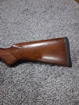 CZ USA Kansas City 17 HMR bolt action fluted barrel rifle - Image 9 of 12