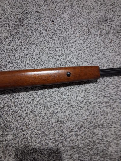 CZ USA Kansas City 17 HMR bolt action fluted barrel rifle - Image 6 of 12
