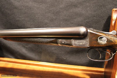 W.W. Greener Pigeon 12 Gauge