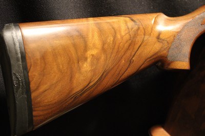 Beretta AL391 Urika 20 Gauge - Image 6 of 7