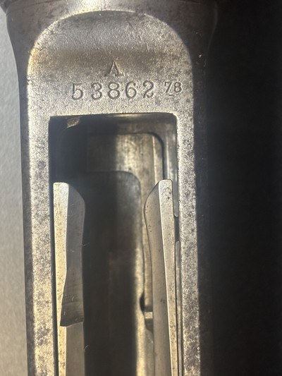 RARE Winchester Pigeon Grade Model 1911 SL Factory Engraved by Angelo Stokes – Documented by Pauline Muerrle - Image 4 of 15