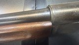 RARE Winchester Pigeon Grade Model 1911 SL Factory Engraved by Angelo Stokes – Documented by Pauline Muerrle - Image 8 of 15