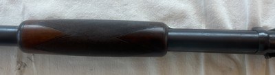 Marlin Model 28 Deuxe Hammerless – Early Production – Factory Raised Matted Rib – 12 Gauge – Exceptional Original Condition - Image 12 of 15