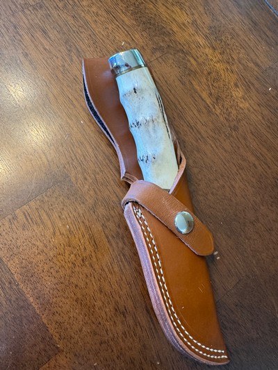 Gerber 425 HS Presentation Stag