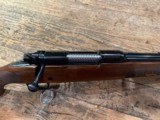 Winchester Model 70 Featherweight Classic in .223 Rem with open sights! - 4 of 9