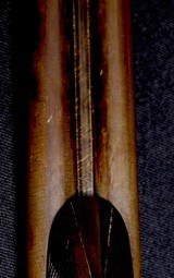 Rare early Lefever D Grade 10 Bore with Original Kilby Damascus barrels and original Gold inlay - 12 of 12