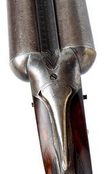 Monstrous and superb high original condition Lefever F Grade 8 Bore with original 36" Barrels - Exceptionally RARE! - 6 of 16