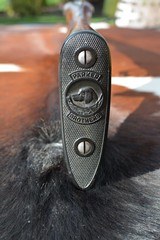 Beautiful all original Parker VHE 20ga with 30” tubes and excellent modern dimension! - 6 of 19