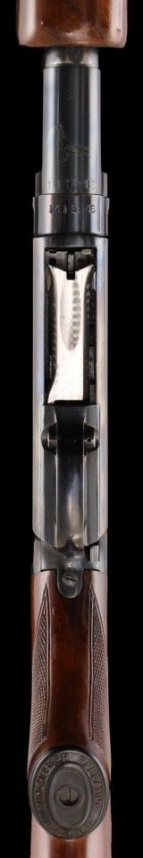 Rare Winchester "Pigeon Grade" Model 12 20ga "Imp. Cyl" choke with original Donut Post vent rib - 4 of 9