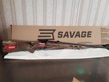 SAVAGE 17 HORNET - 1 of 1