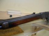 WINCHESTER 1873 - 7 of 7