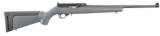 RUGER Model 10/22 Collector's Series Carbine Rifle - 1 of 1