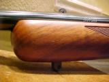 RUGER 77 MKII .243WIN COMPACT - 9 of 9