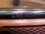 RUGER 77 MKII .243WIN COMPACT - 8 of 9