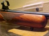 RUGER 77 MKII .243WIN COMPACT - 4 of 9