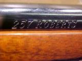 RUGER M77 MK II 257 ROBERTS - 17 of 17