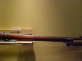 SPRINGFIELD KRAG 1898 30-40 - 5 of 15