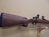 REMINGTON 700 MTN 270 - 1 of 10