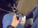 SMITH & WESSON 51 .22 MAG - 7 of 10
