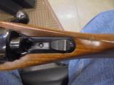 RUGER M77 .300 WIN MAG 24" - 8 of 12