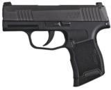 Sig P365 Nitron Pistol 3659BXR3, 9mm - 1 of 1