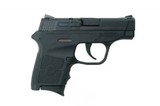Smith & Wesson 109381 Bodyguard Pistol .380 ACP - 1 of 1