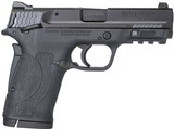 Smith & Wesson M&P Shield EZ M2.0 .380 ACP 11663 - 1 of 1