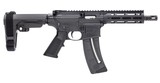 Smith & Wesson M&P15-22 22 LR AR-Pistol with SBA3 Pistol Brace - 1 of 1