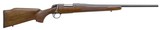 Bergara B-14 Timber Bolt Action Rifle B14S003, 243 Winchester, 22", Walnut Stock, Blued Finish, 1 Rd - 1 of 1
