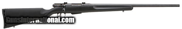 Savage Arms 25 Walking Varminter 17 Hornet 19740