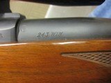 RUGER M77 HAWKEYE LEFT HANDED .243 WIN - 20 of 22