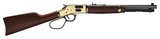 Henry Side Gate Large Loop Lever Action Rifle H006GL, 44 Mag / 44 Special - 1 of 1
