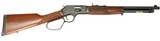 Henry Repeating Arms Co Big Boy Steel Carbine 44 Magnum | 44 Special H012GR