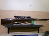 WINCHESTER MODEL 70 PRE 64 VARMINT .220 SWIFT - 1 of 19
