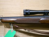 WINCHESTER MODEL 70 PRE 64 VARMINT .220 SWIFT - 7 of 19