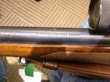 WINCHESTER MODEL 70 PRE 64 VARMINT .220 SWIFT - 11 of 19