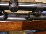 WINCHESTER MODEL 70 PRE 64 VARMINT .220 SWIFT - 16 of 19