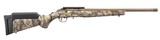 Ruger American Rimfire Standard 22 LR 8372 - 1 of 1