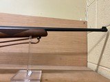 RUGER 10/22 Wood
22LR 22