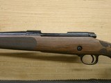 Winchester M70 Super Grade 30-06 Sprg
Gloss French Walnut AAA 535239228 - 7 of 8