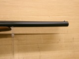 CZ Hammer Coach Shotgun 12 Gauge, 20