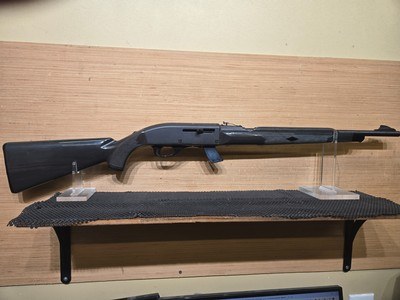 REMINGTON NYLON 77 APACHE
.22 LR