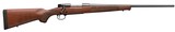 Winchester Model 70 Featherweight 6.5 Creedmoor 535200289 - Image 1 of 1