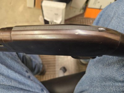 WINCHESTER MODEL 12 12 GAUGE REBLUED - Image 7 of 9