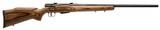 Savage Arms 25 Lightweight Varminter 22 Hornet 19140