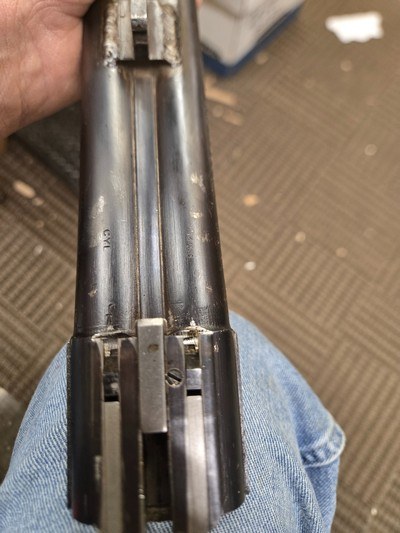WINCHESTER MODEL 24 SXS 12 GA 24