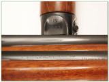 Browning A5 12 Magnum 1960 Belgium - 4 of 4